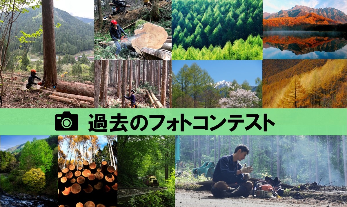 過去のフォトコンテスト