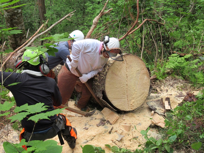 登山道整備ボランティア