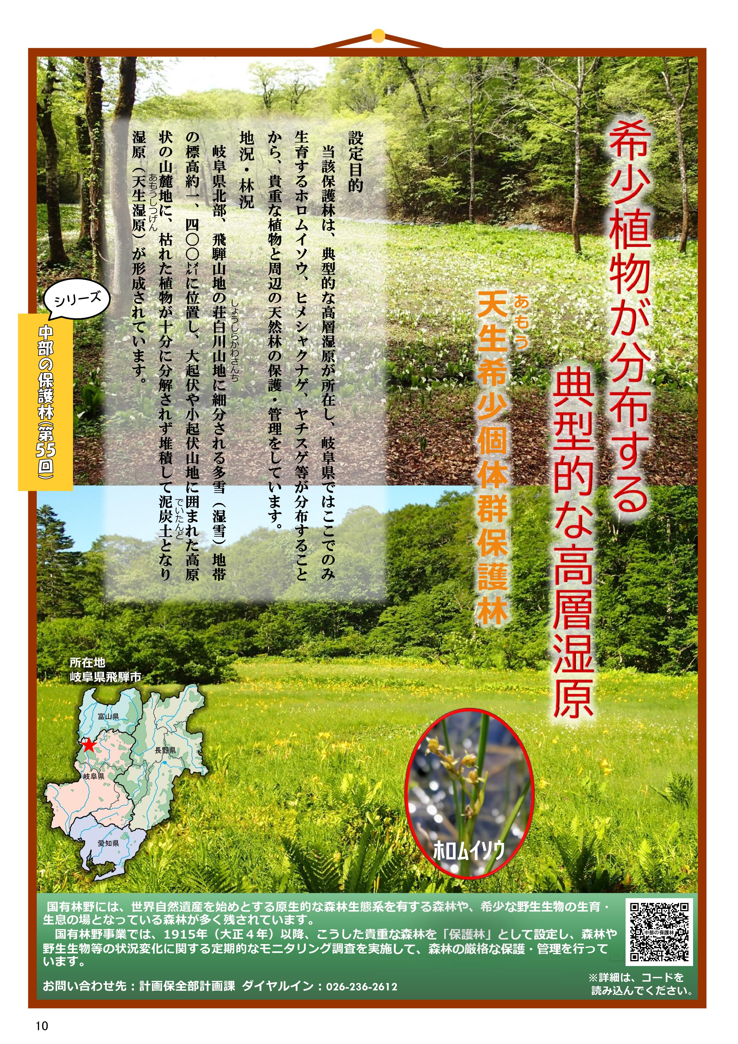 令和8年7月号私の森語り