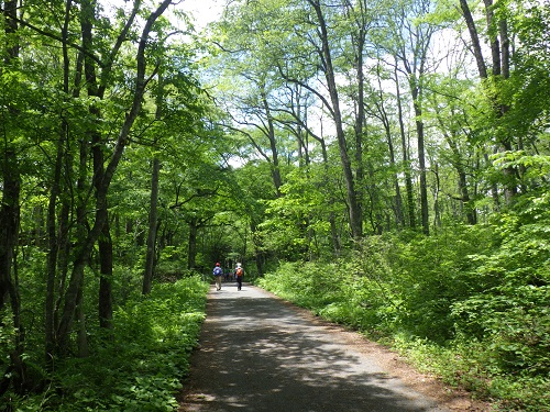 4.「戸隠植物園散策路」