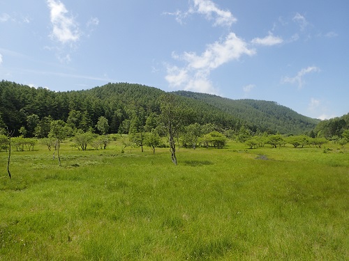 26.大阿原湿原