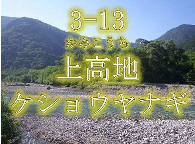 3-13 上高地ケショウヤナギ