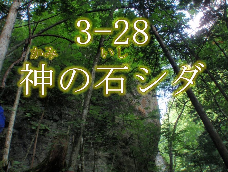 神の石シダ希少個体群保護林