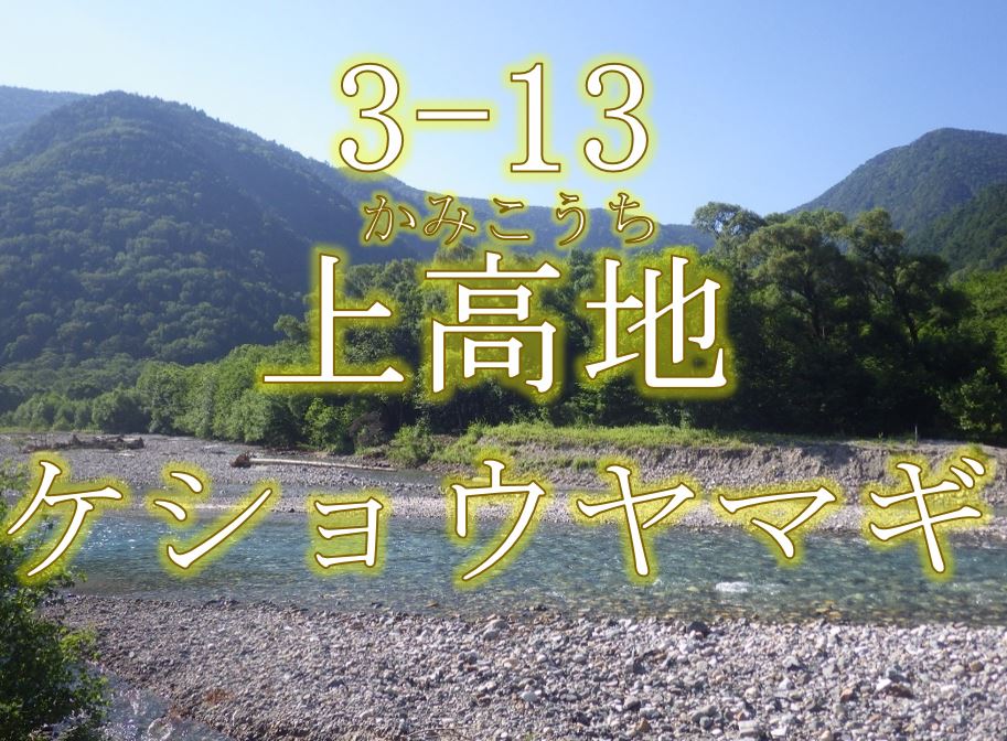 上高地ケショウヤマギ希少個体群保護林