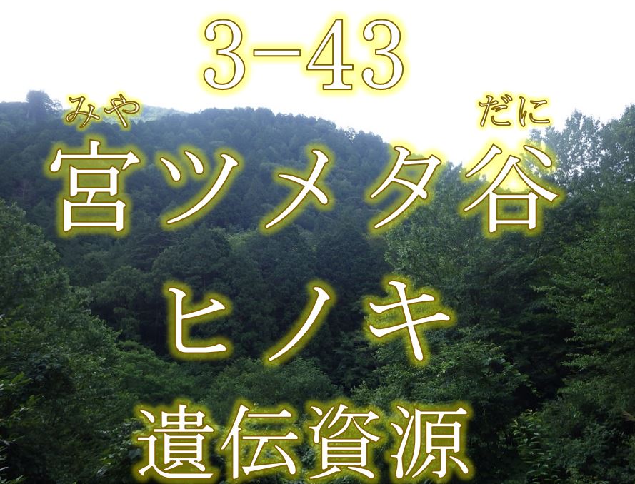 宮ツメタ谷ヒノキ遺伝資源希少個体群保護林