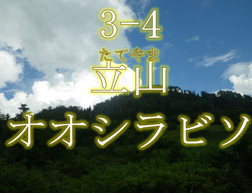 立山オオシラビソ希少個体群保護林