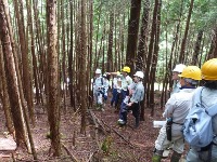 ヒノキ天然更新現地検討会