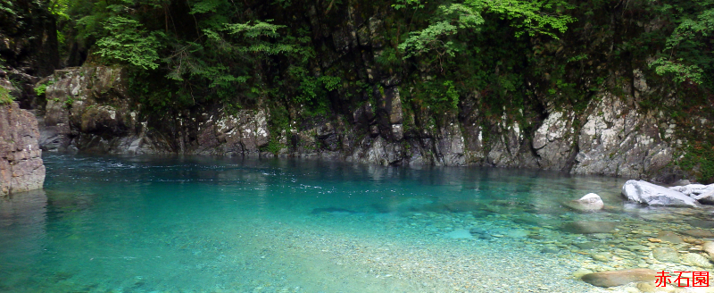 赤石園