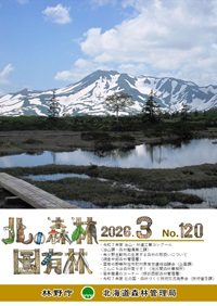 広報誌３月号表紙