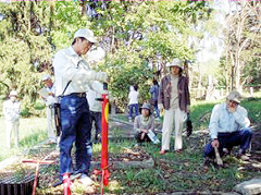 プランティングチューブを使った植樹の実演