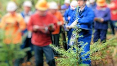 「コンテナ苗植栽試験地」