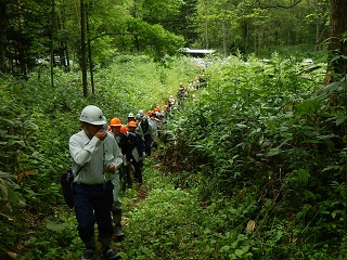 参加者が試験地へ