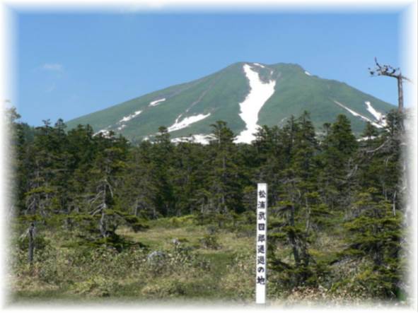 原始ヶ原から望む富良野岳