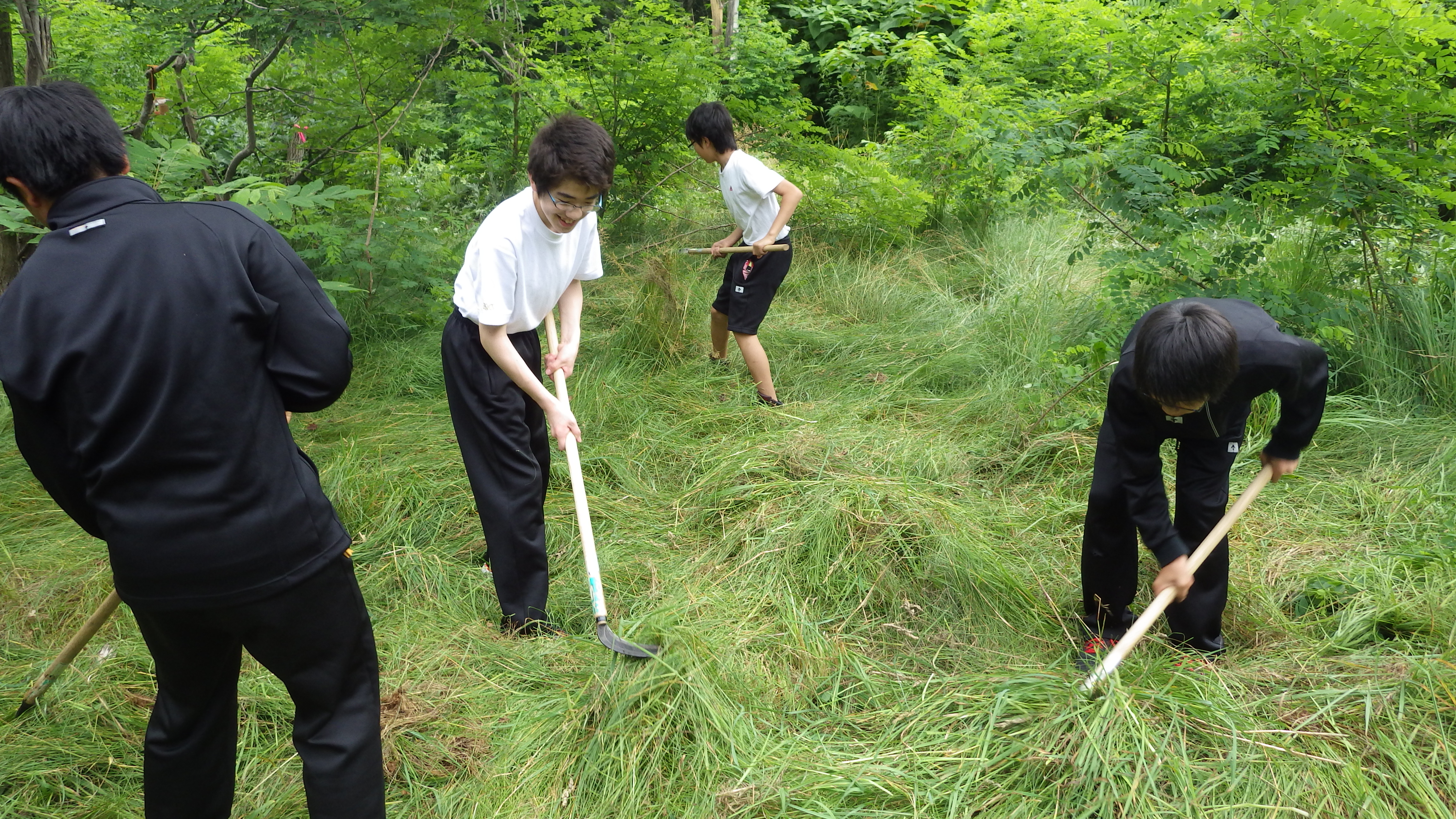 草刈り