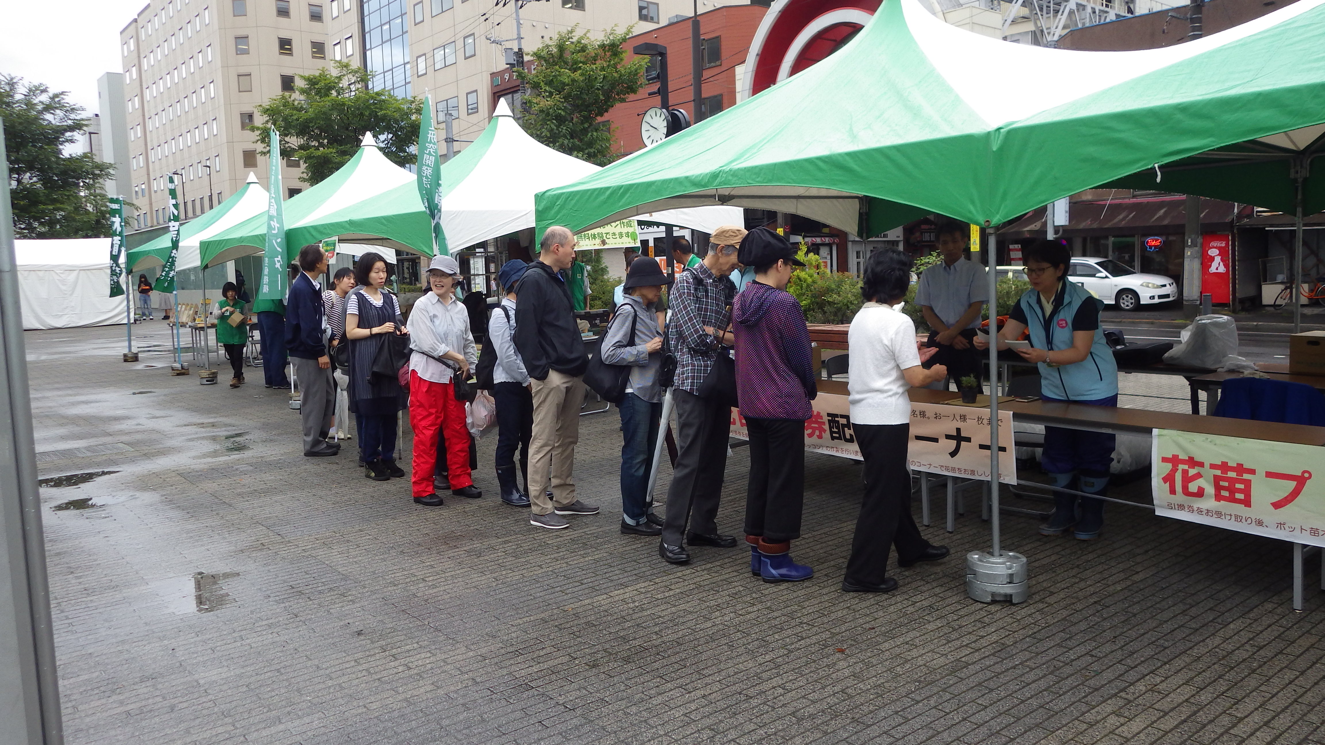 ラベンダー花苗配布