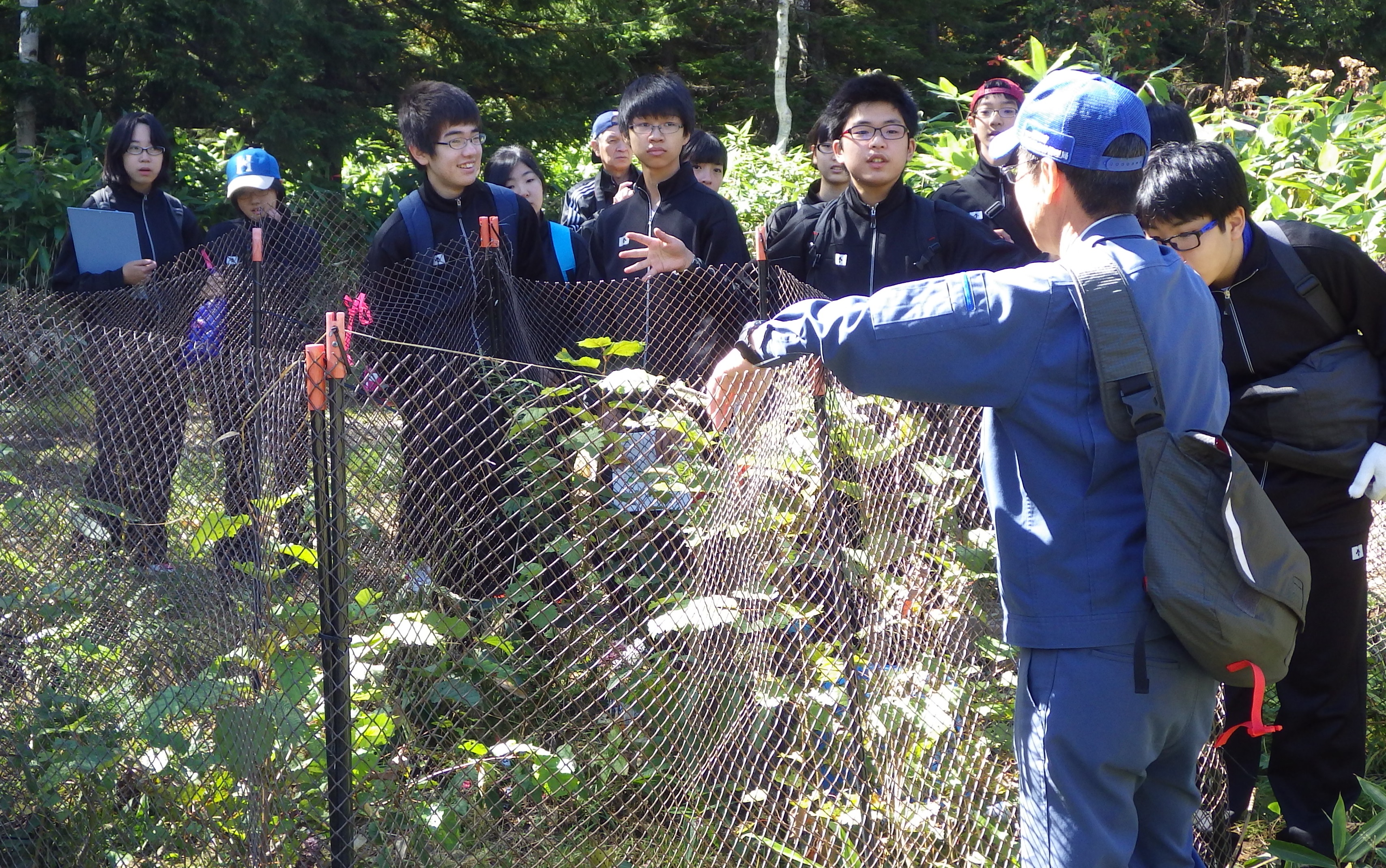 シカ食害防止柵意見交換