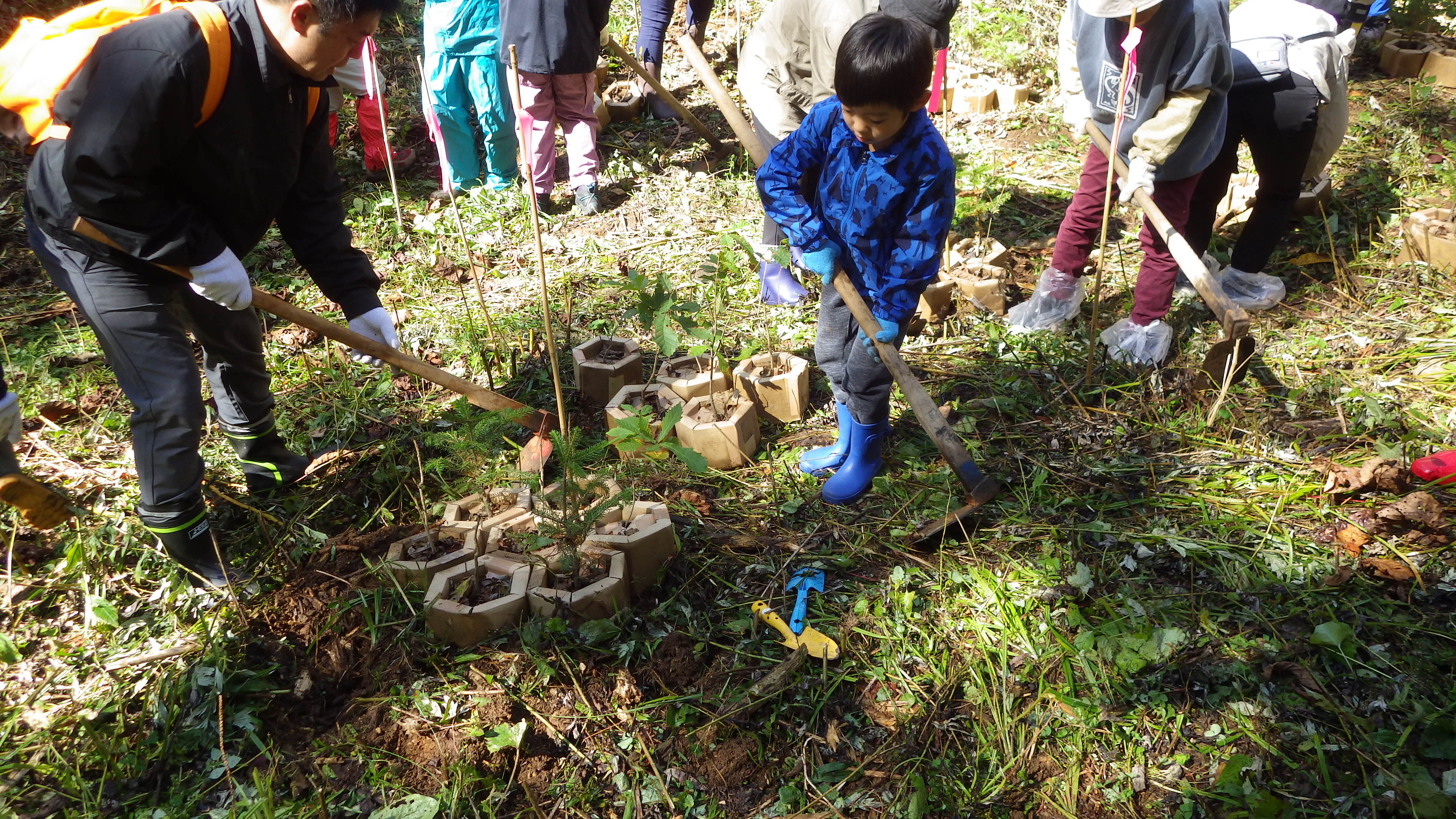 小学生による植栽