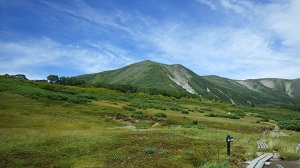 第二お花畑から望む緑岳