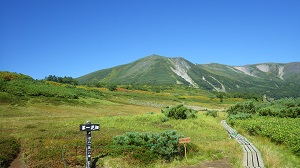 第一お花畑から見た緑岳