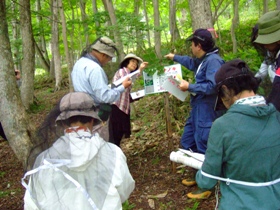 樹木学習の様子2