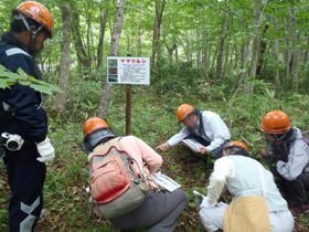 ヤマウルシの説明をしている様子