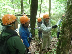 樹木学習の様子その2