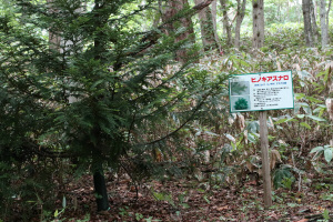 事前学習コースの看板