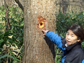 説明する長谷氏