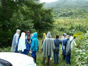 雨の作業