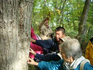 樹皮をさわって学習中