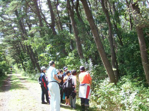 樹木博士認定会の様子