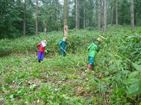 降りしきる雨の中、皆さんとても熱心です