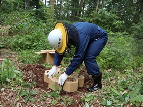 昨日作ったカミネッコンを設置し植付完了