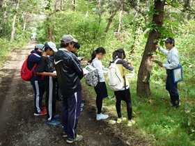 学習の様子