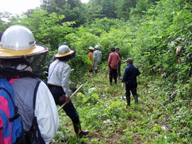 作業地へ向かう参加者