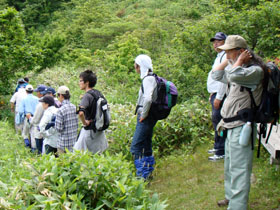 薬師山