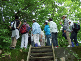 薬師山砲台跡