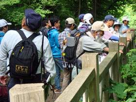 野鳥観察小屋付近