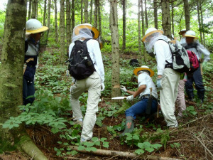 作業前の指導の様子