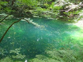 春先にだけ現れる、エメラルドグリーンの沼