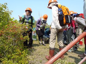 函館山の植物を観察している様子