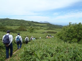 登山の様子