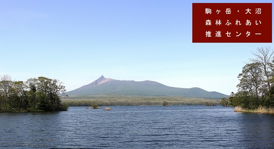 駒ヶ岳・大沼の写真令和元年5月撮影