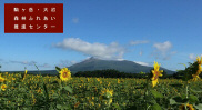 駒ヶ岳・大沼の写真令和元年8月撮影