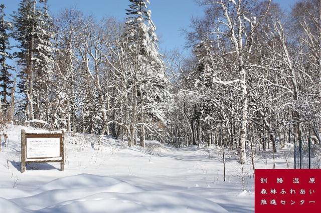 厳冬期の雷別国有林（標茶町）