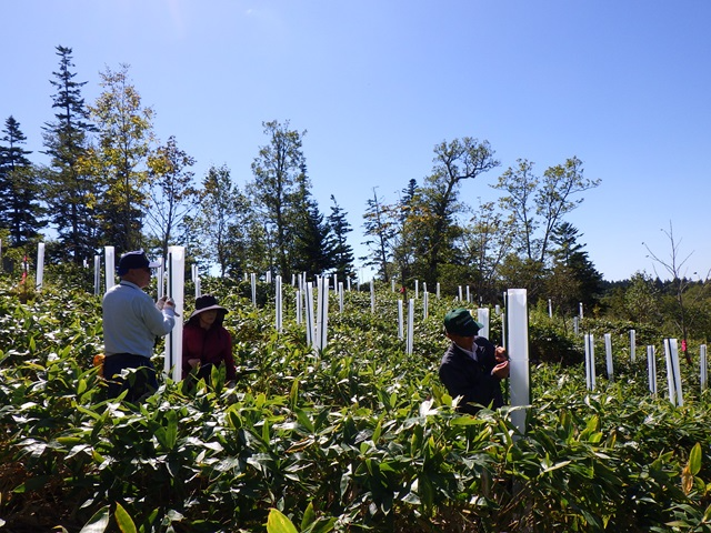 保護管で被覆する様子
