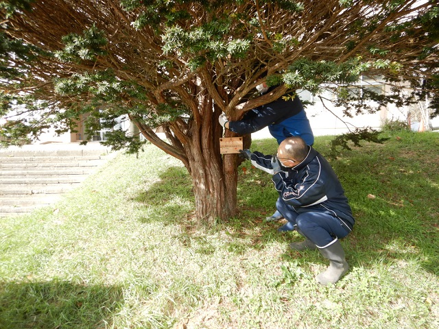 樹名板取付けの様子