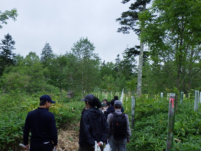 自然再生事業地を見学する様子