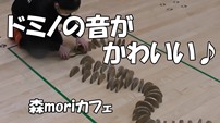 森moriカフェ