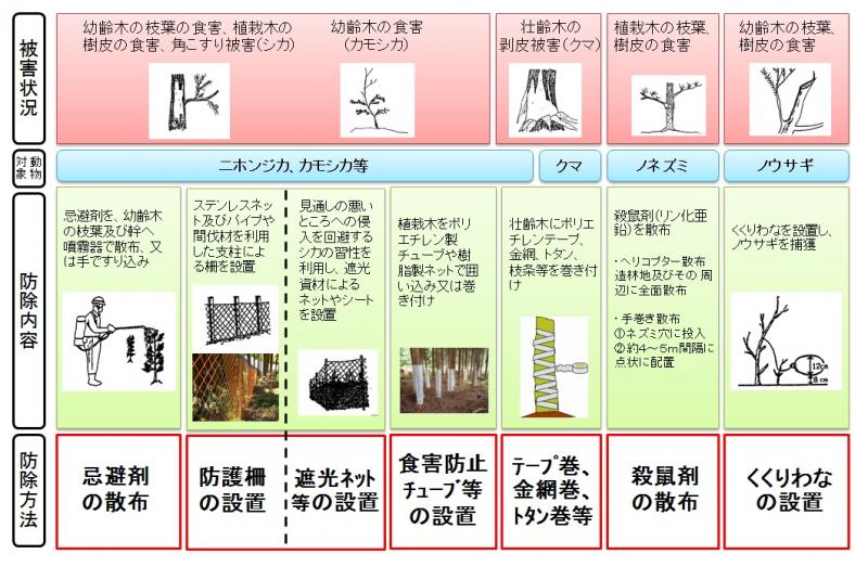 鳥獣による森林被害の防除方法の例